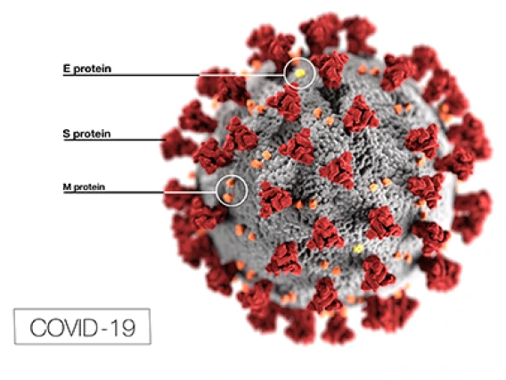 Arizona Telemedicine Program Rapidly Responds to Coronavirus Pandemic 