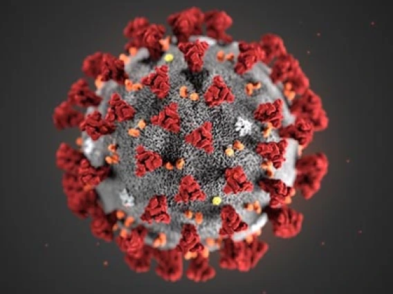UArizona Experts Available to Comment on Coronavirus and Influenza