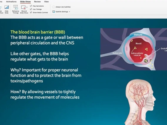 UArizona Professors Bring Pandemic Lessons to the (Virtual) Classroom