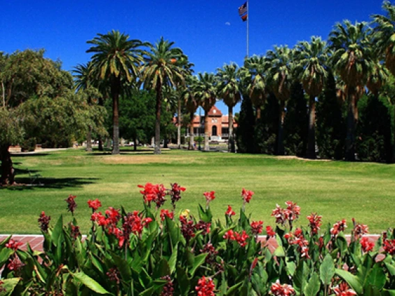 UArizona Earns Strong Marks in Two International Rankings