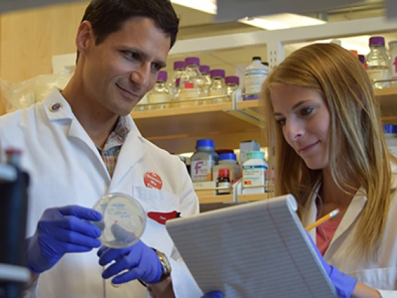 UArizona Researchers Pivot to Tackle COVID-19, Splitting More Than $500,000 in Funding