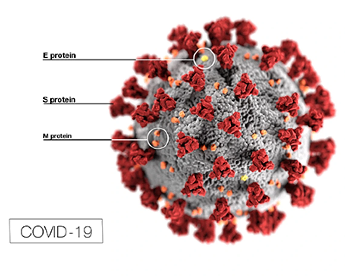 Arizona Telemedicine Program Rapidly Responds to Coronavirus Pandemic 