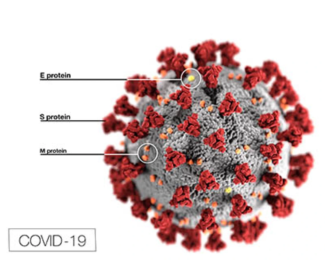 UArizona, State Expand COVID-19 Antibody Test Eligibility, Launch $7.7M Study on Immunity UArizona, State Expand COVID-19 Antibody Test Eligibility, Launch $7.7M Study on Immunity