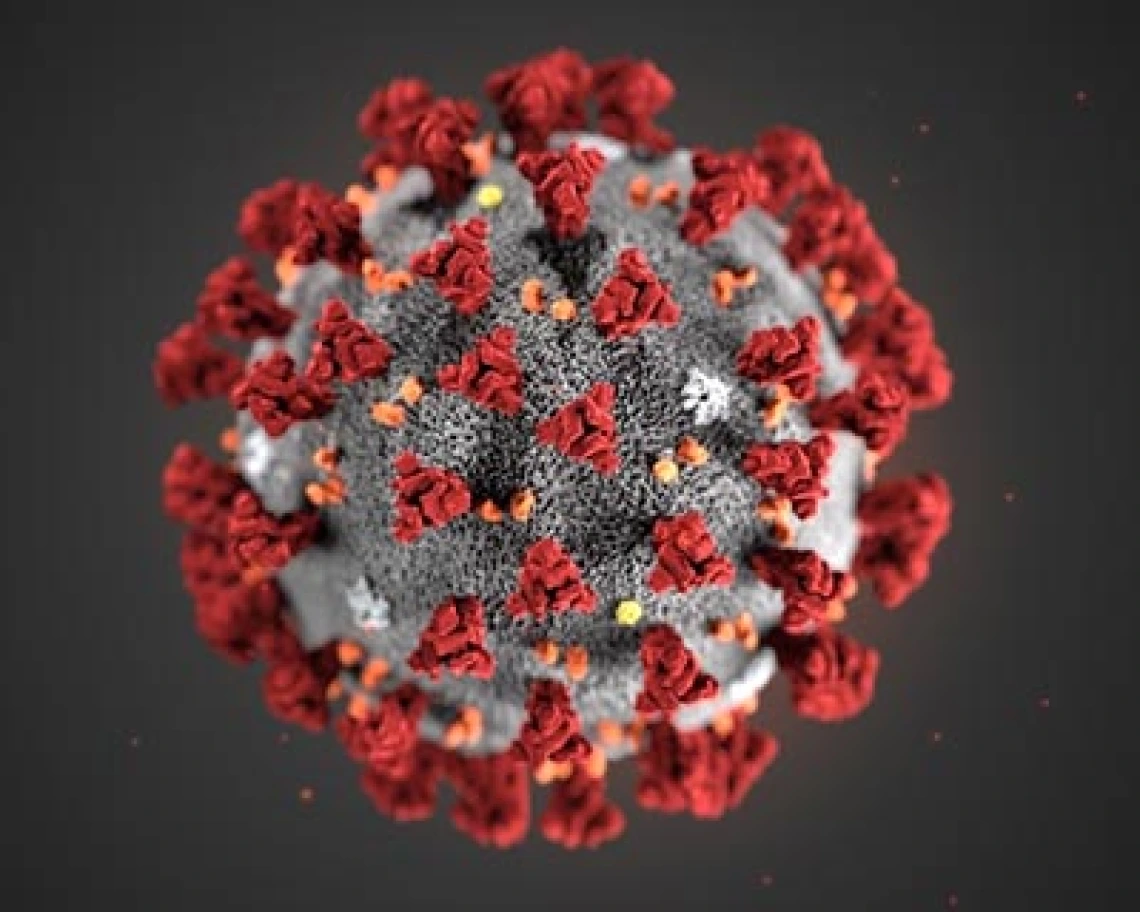 UArizona Experts Available to Comment on Coronavirus and Influenza UArizona Experts Available to Comment on Coronavirus and Influenza