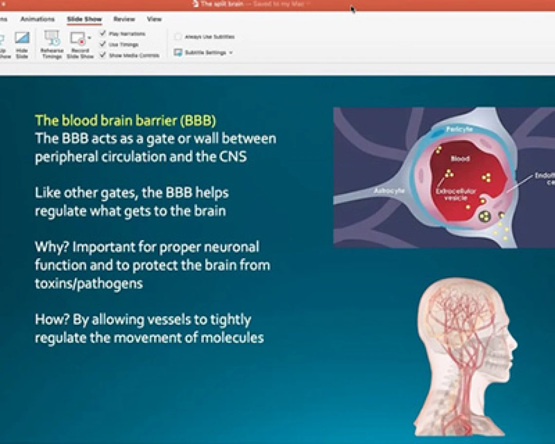 UArizona Professors Bring Pandemic Lessons to the (Virtual) Classroom