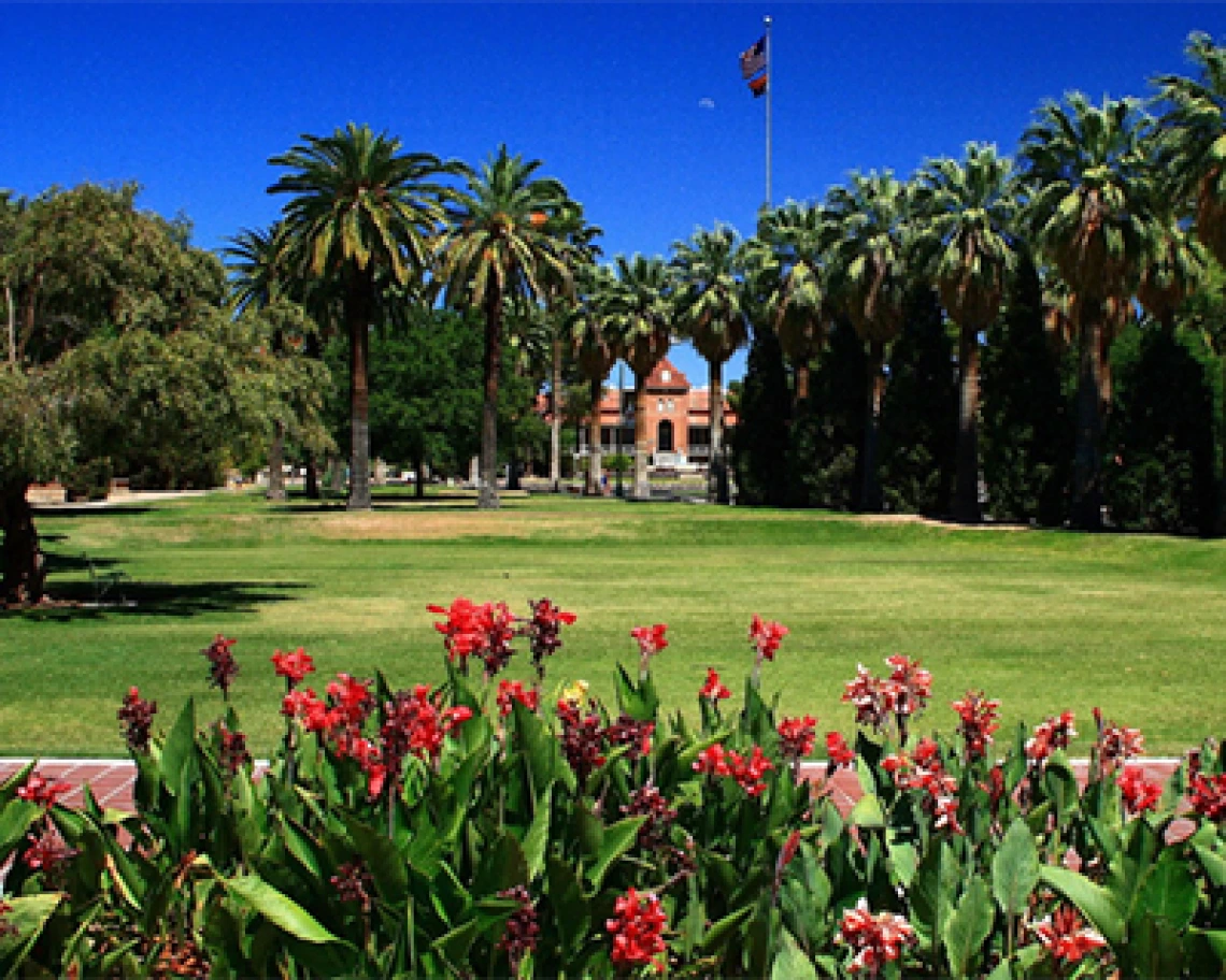 UArizona Earns Strong Marks in Two International Rankings