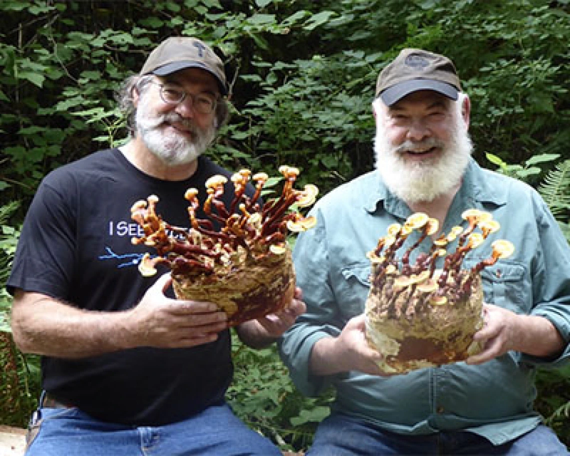 Building Bridges with Indigenous Communities: Stamets Gift Funds New Scholarship for Fellowship in Integrative Medicine Building Bridges with Indigenous Communities: Stamets Gift Funds New Scholarship for Fellowship in Integrative Medicine