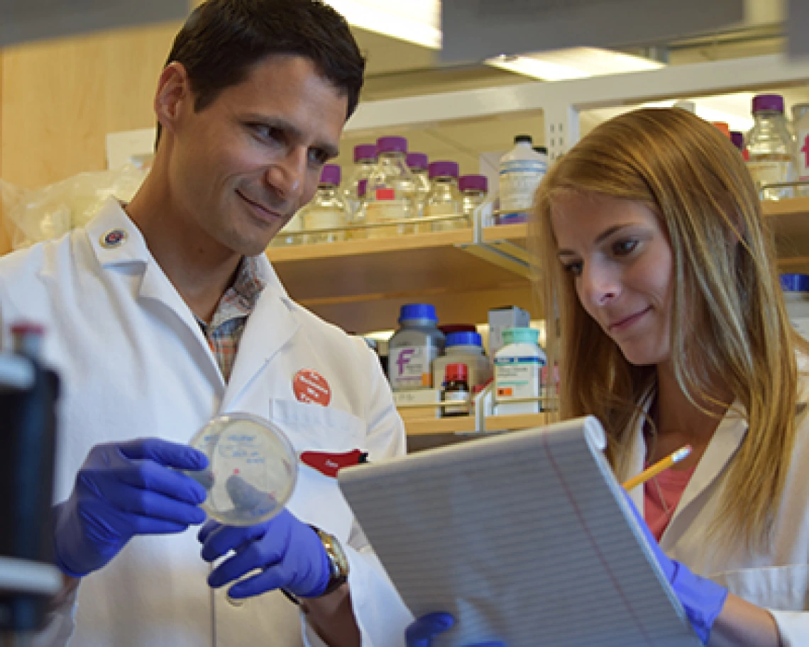 UArizona Researchers Pivot to Tackle COVID-19, Splitting More Than $500,000 in Funding UArizona Researchers Pivot to Tackle COVID-19, Splitting More Than $500,000 in Funding